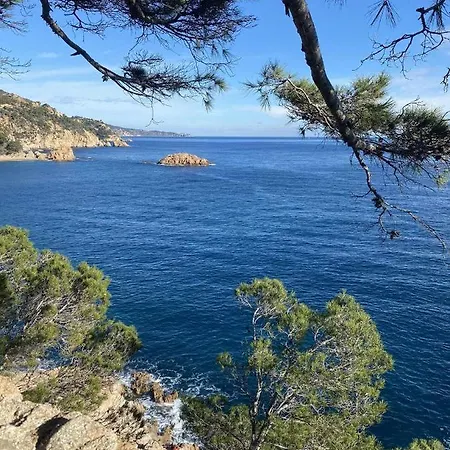 Lejlighed Espiga Cala Privada Tossa De Mar Girona